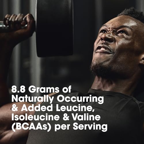 Optimum Nutrition Platinum Hydrowhey Protein Powder