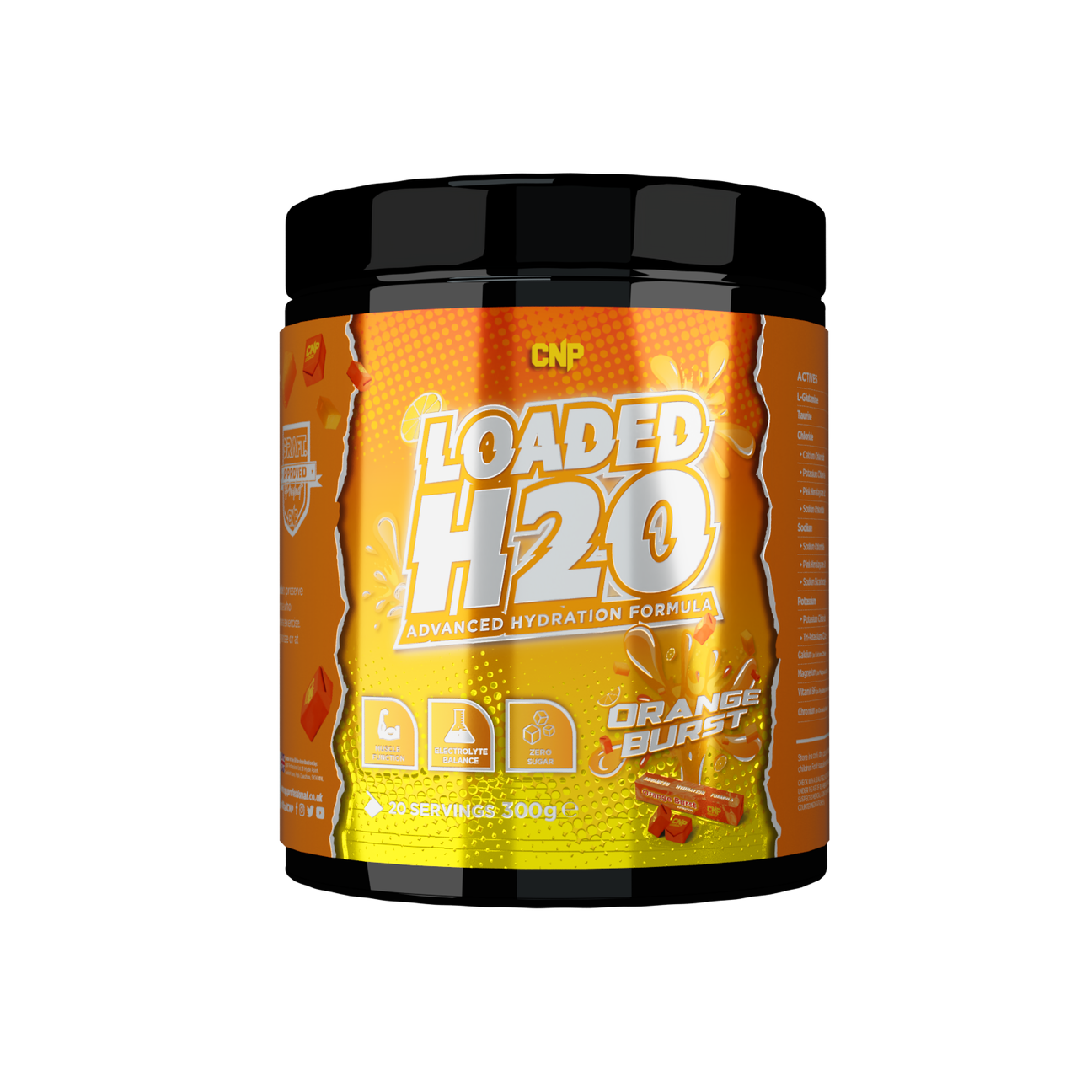 CNP Loaded H2O