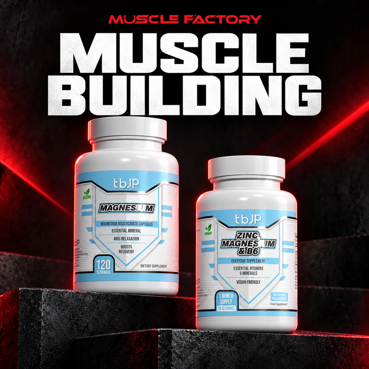 Muscle Factory collection poster: MUSCLE BUILDING